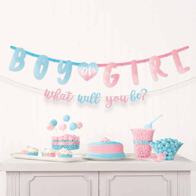 Banner Gender Reveal 187cm