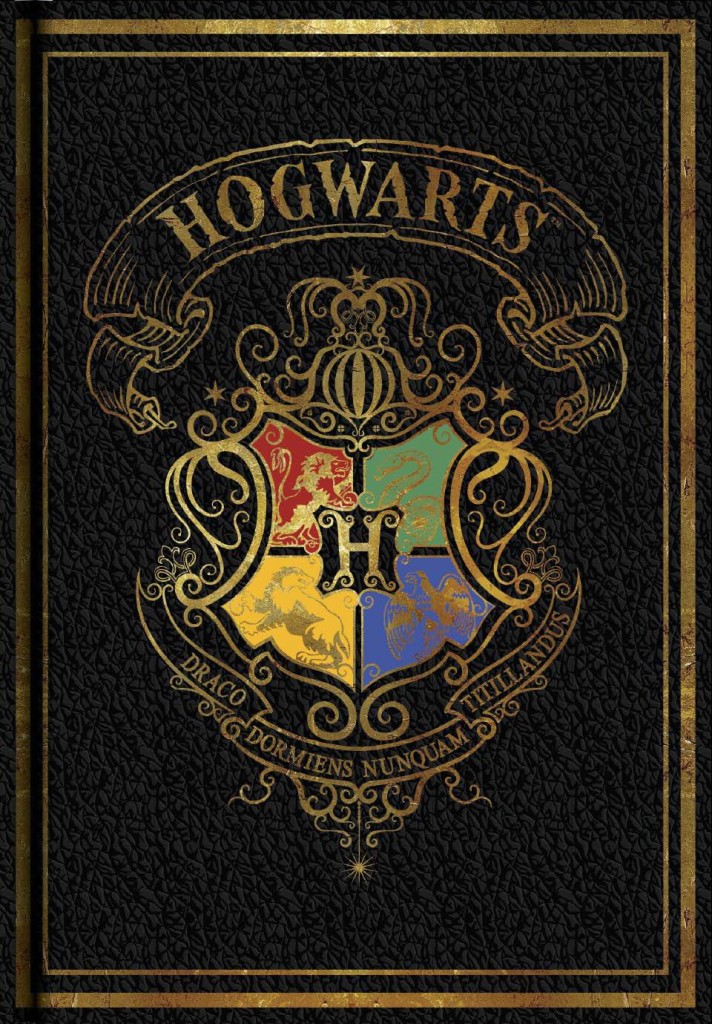 Blok A5 Harry Potter Colourful černý